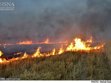 هشدار سازمان جهاد کشاورزی خوزستان؛ آتش زدن بقایای گیاهی و مزارع ممنوع است/ متخلفان تحت پیگرد قانونی قرار می‌گیرند