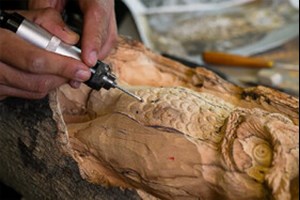 درختان خشکیده اهواز پیکرتراشی می‌شوند