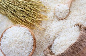 بازار برنج در مسیر آرامش/ضرورت واردات ماهانه ۱۲۰ هزارتن برنج به کشور