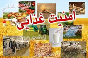 سهم ۱۴ درصدی خوزستان در امنیت غذایی کشور