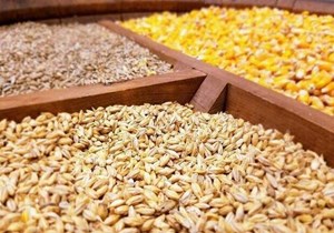 چالشی در تامین نهاده دامی تا ۳ ماه آینده وجود ندارد