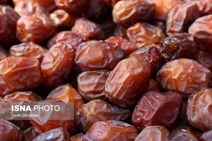 رئیس انجمن ملی خرما: ۳۰ درصد از خرمای ایران صادر میشود/موافق افزایش واحد سطح نیستیم