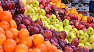 ذخیرهسازی سیب و پرتقال برای تنظیم بازار میوه شب عید