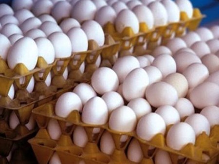 مصرف تخم مرغ ۲۰ درصد کاهش یافت