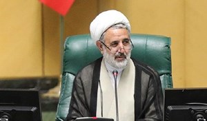 نائب رییس مجلس در صحن علنی: وکالت تام نمایندگان به هیات نظارت برای ورود به پرونده شاسی بلندها/ متخلفان معرفی میشوند