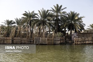 رییس سازمان حفاظت محیط زیست خبر داد: تهیه طرح اجرایی گردشگری پایدار تالاب شادگان با دستور رییس جمهوری