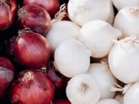 آیا پیاز سفید و قرمز ارزش غذایی یکسانی دارند؟