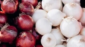 آیا پیاز سفید و قرمز ارزش غذایی یکسانی دارند؟