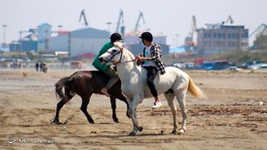 توسعه گردشگری در سواحل در چارچوب قوانین مجاز است