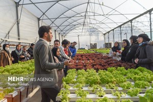 پیش‌بینی تولید ۲۰۰ هزار تن گوشت از دو نوع دام شتر و گاومیش