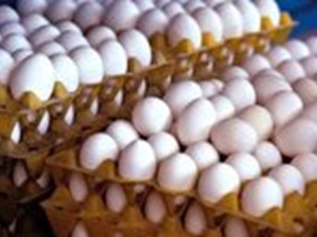 قیمت هر شانه تخم‌مرغ برای مصرف‌کننده ۶۰۰ تا ۷۰۰ هزار تومان