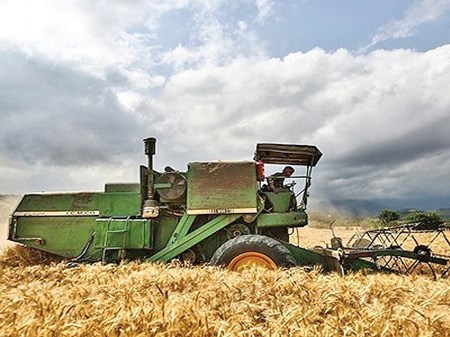تخصیص ۱۰۰ میلیون لیتر سوخت کشاورزی به کجا رسید؟