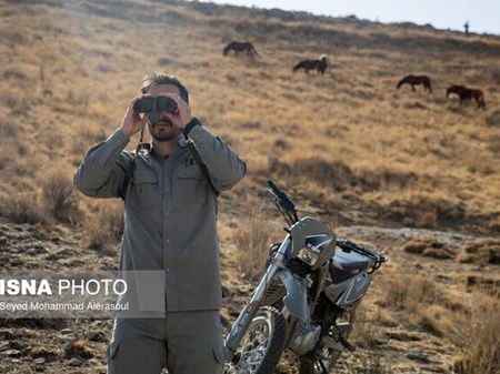رشته محیط‌بانی در هنرستان کشاورزی اهواز راه‌اندازی می‌شود