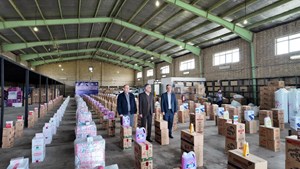 به مناسبت ایام الله دهه فجر انجام شد؛  توزیع بیش از ۲ هزار بسته‌ بهداشتی بین بیماران زمین‌گیر خوزستان