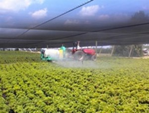 استفاده از سموم دفع آفات برای انسان مضر است