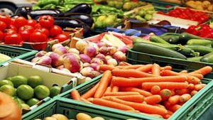 قیمت میوه و صیفی نوسانی ندارد