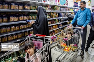 مشاور رئیس‌جمهور؛ دولت تامین ذخایر امنیت غذایی را از آبان آغاز کرد/ تفویض اختیارات رئیس‌جمهور به وزرا در جنگ
