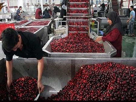 صدور ۵۳ جواز تاسیس و پروانه بهره برداری صنایع تبدیلی و غذایی در خوزستان