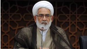 رئیس دیوان عالی کشور تاکید کرد: دستگاههای اطلاعاتی و امنیتی برای جلوگیری از ورود اتباع خارجی غیرمجاز هوشیار باشند