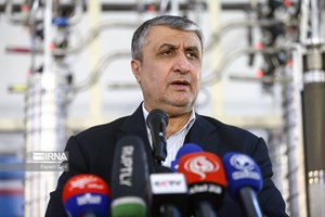 واکنش اسلامی به خبرسازی آژانس انرژی اتمی: موضعگیری آژانس باعث ابراز تاسف است/بازرس گزارش نادرست داده بود