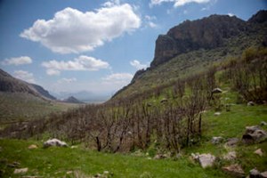 منطقه حفاظت‌شده بیستون؛ گنجینه‌ای طبیعی در سایه میراث جهانی