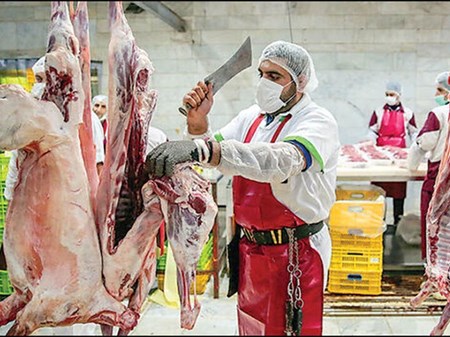 گزارشی از شیوع بیماری آنفلوانزا فوق حاد پرندگان در صنعت طیور نداشتیم