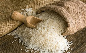 ممنوعیت واردات برنج باقی می ماند