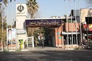 نامگذاری بیش از ۱۰ هزار نوزاد به نام (علی) در سال جاری