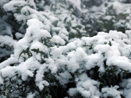 ایران سردتر می‌شود