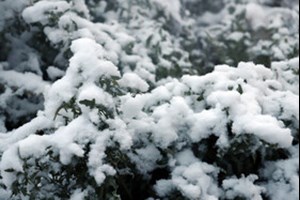 ایران سردتر می‌شود