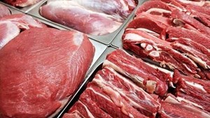 بازار دام در رکود به سر می‌برد/ قیمت دام زنده کاهشی است