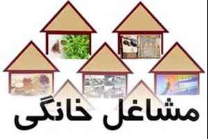 دارندگان مجوز مشاغل خانگی نیازی به دریافت پروانه کسب مجازی ندارند