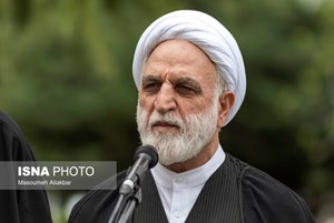 محسنیاژهای در همایش بزرگداشت هفته قوه قضاییه/ ۹۸ هزار نفر بعد از عفو رهبری آزاد شدند/با همکاری دولت ۲۱۰ گلوگاه فساد شناسایی شد