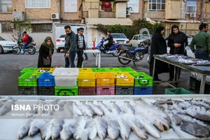 مدیرعامل اتحادیه ماهیان سردابی عنوان کرد: جای خالی آبزیان در سبد غذایی مردم/ از تولیدکنندگان ماهی حمایت شود