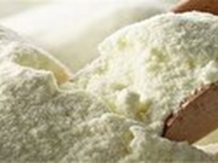 گرانی شیرخام ارتباطی به صادرات شیرخشک ندارد