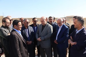 معاون وزیر جهاد کشاورزی: مشکلات فاز نخست طرح ۵۵۰ هزار هکتاری شادگان برطرف می‌شود