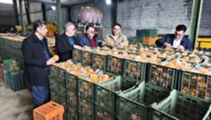 برخورد قاطع و بازدارنده تعزیرات خوزستان با متخلفان بازار