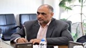 نیاز به واردات مرغ سال آینده کم میشود/به دنبال تولید داخل هستیم