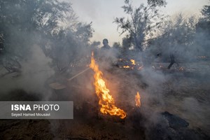 سرپرست اداره حفاظت محیط زیست اندیکا خبر داد: مهار آتش در ارتفاعات شیمبار/ وقوع ۸ آتش سوزی از ابتدای امسال