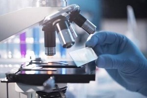 تولید کیت تشخیص سریع ۳ بیماری خطرناک سگ و گربه از سوی دانشبنیانها