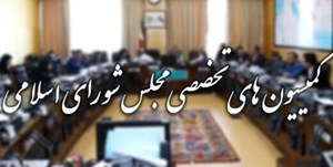 ۶ وزیر به کمیسیونهای تخصصی مجلس میروند