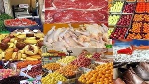 مشکل کمبود نهادههای دامی تاپایان هفته برطرف می شود