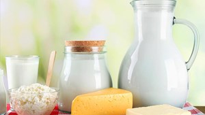 ارزیابی و رتبهبندی واحدهای لبنیات سنتی در راستای ارتقای سلامت