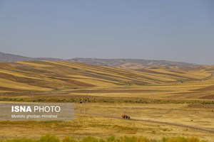 با انعقاد تفاهم‌نامه‌ای محقق می‌شود: برآورد سطح زیرکشت ۳ محصول استراتژیک با فناوری فضایی