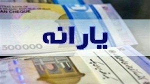 فراهم شدن امکان خرید اعتباری با واریز «یارانه» خرداد