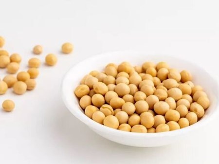 یک پروتئین گیاهی؛ از خواص و فرآورده‌های متنوع تا موارد احتیاط
