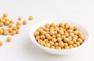 یک پروتئین گیاهی؛ از خواص و فرآوردههای متنوع تا موارد احتیاط