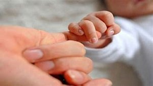 طغیانی: منابع اعطای سهام به متولدین ۱۴۰۲ در بودجه پیشبینی شده است