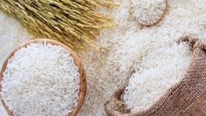 شیب کاهش قیمت برنج تندتر میشود