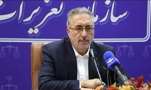 اسفنانی: تعزیرات با نانوایی‌های متخلف برخورد می‌کند